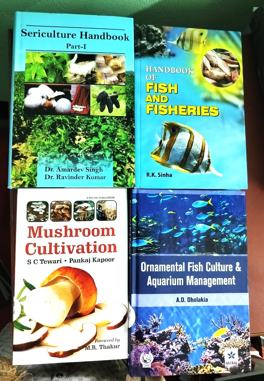 Latest Arrival