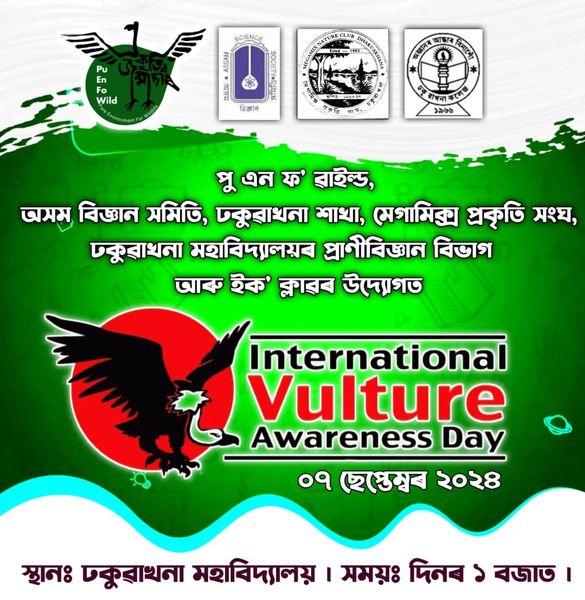 International Vulture Awareness Day 2024